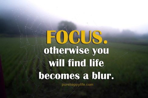 19517946269_560fce2fbf_b